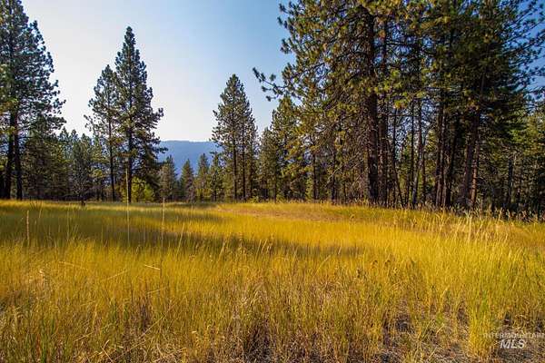 35.6 Acres of Recreational Land for Sale in Ahsahka, Idaho