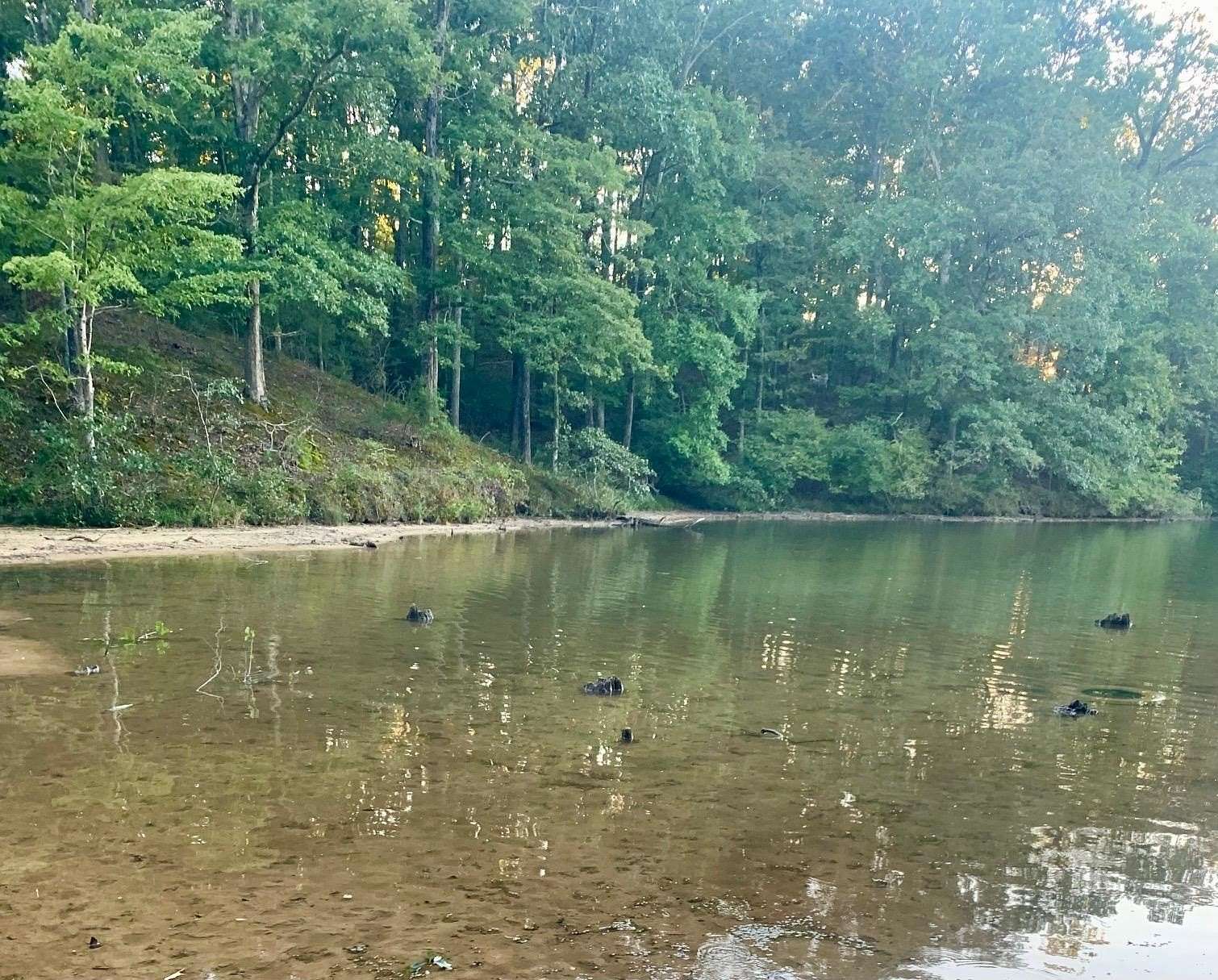 0.29 Acres of Residential Land for Sale in Saulsbury, Tennessee