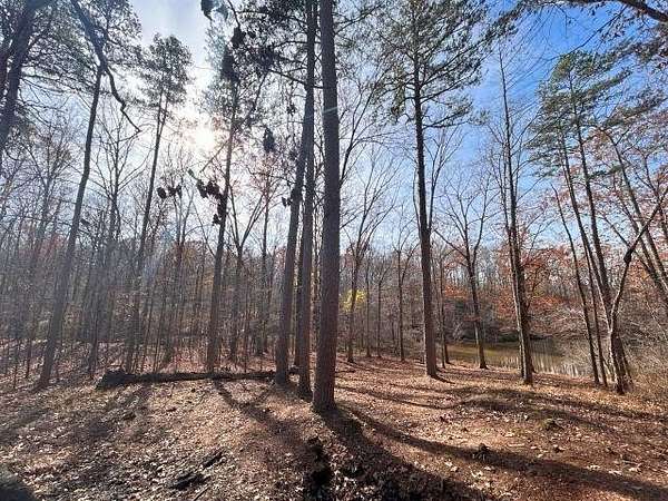 0.27 Acres of Residential Land for Sale in Saulsbury, Tennessee