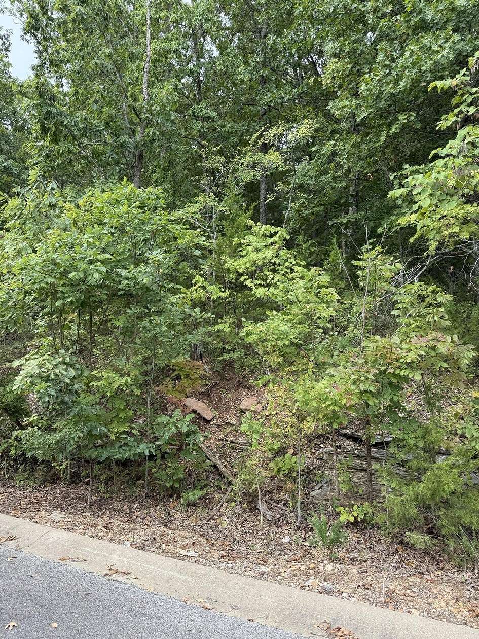 0.29 Acres of Land for Sale in Hollister, Missouri