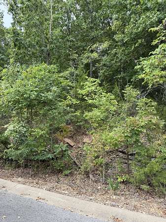 0.29 Acres of Land for Sale in Hollister, Missouri