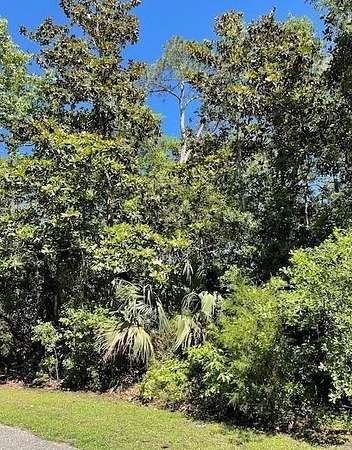 1 Acre of Residential Land for Sale in Apalachicola, Florida