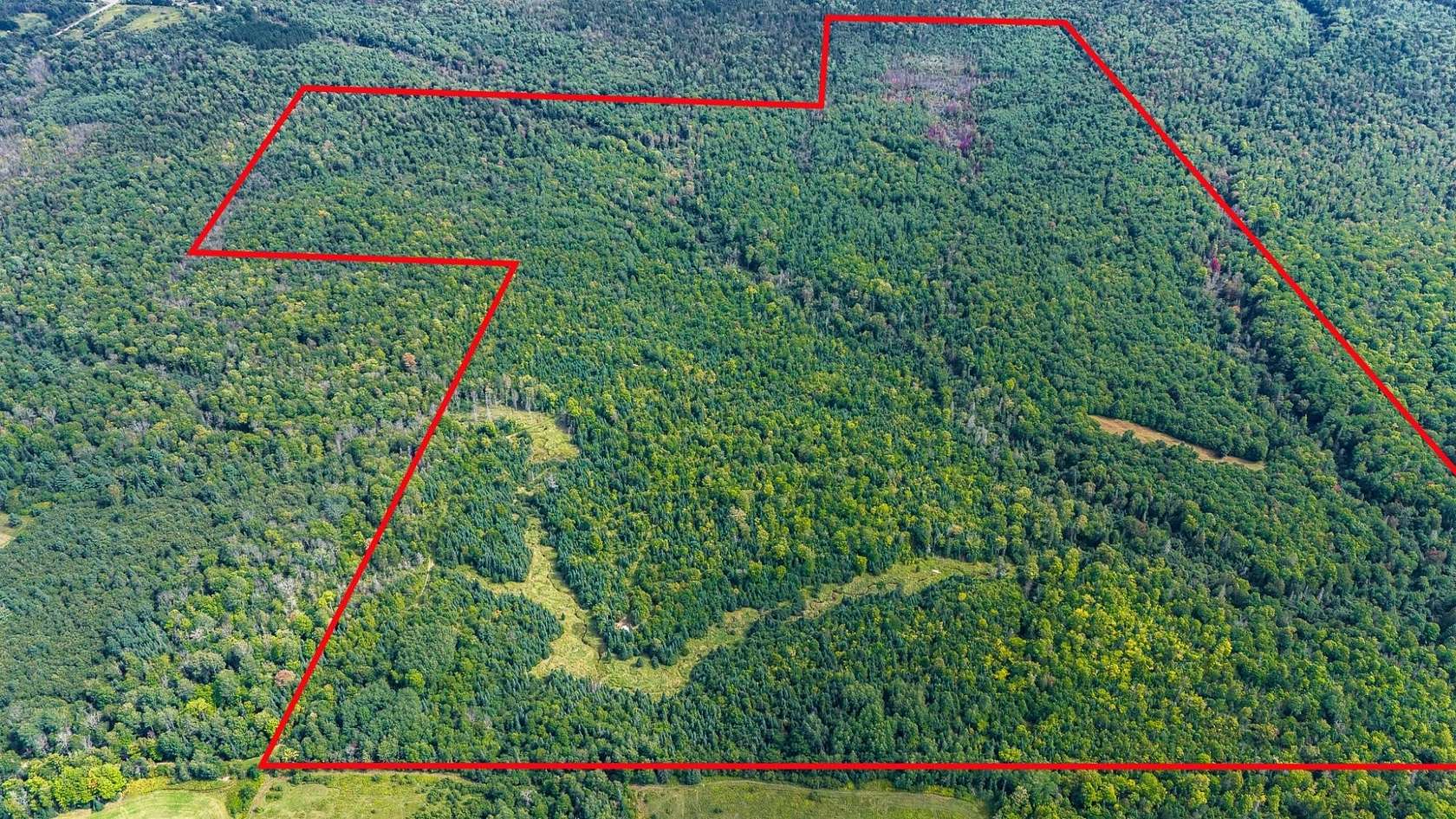 305 Acres of Improved Recreational Land for Sale in Bohemia Township, Michigan