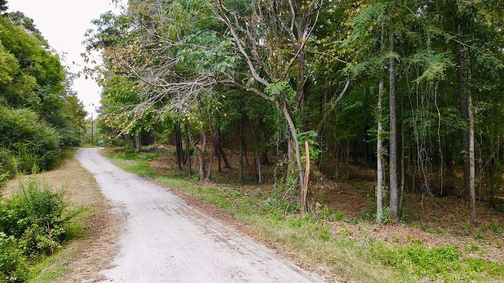 10 Acres of Recreational Land for Sale in Hamilton, Georgia