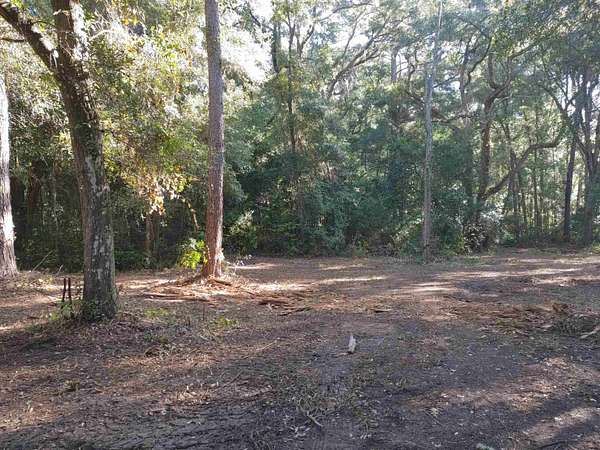 3 Acres of Residential Land for Sale in Tallahassee, Florida