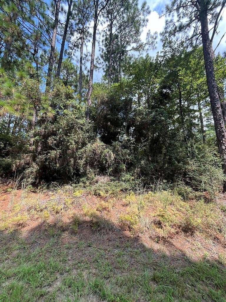 0.22 Acres of Residential Land for Sale in Brookeland, Texas