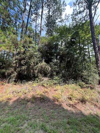 0.22 Acres of Residential Land for Sale in Brookeland, Texas