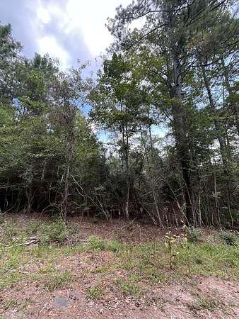 0.21 Acres of Residential Land for Sale in Brookeland, Texas