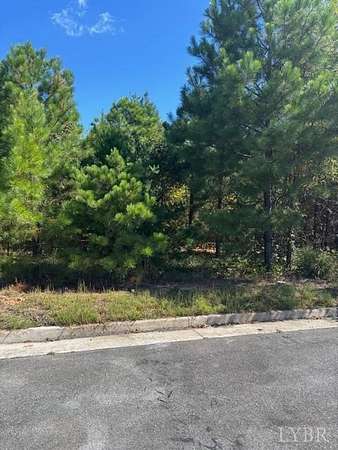 2.46 Acres of Commercial Land for Sale in Madison Heights, Virginia