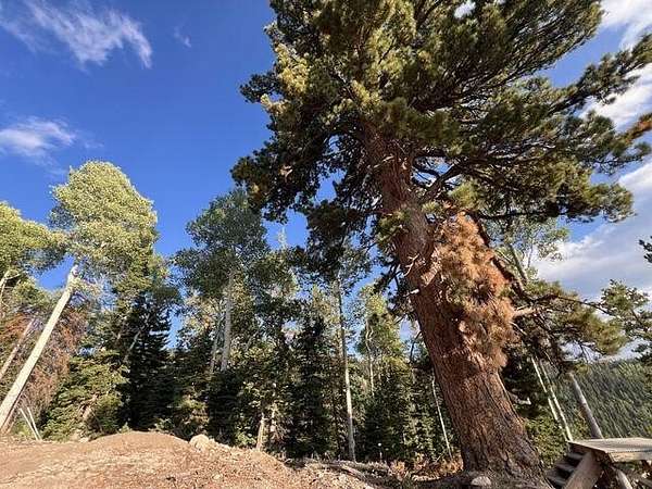 0.79 Acres of Residential Land for Sale in Beaver, Utah