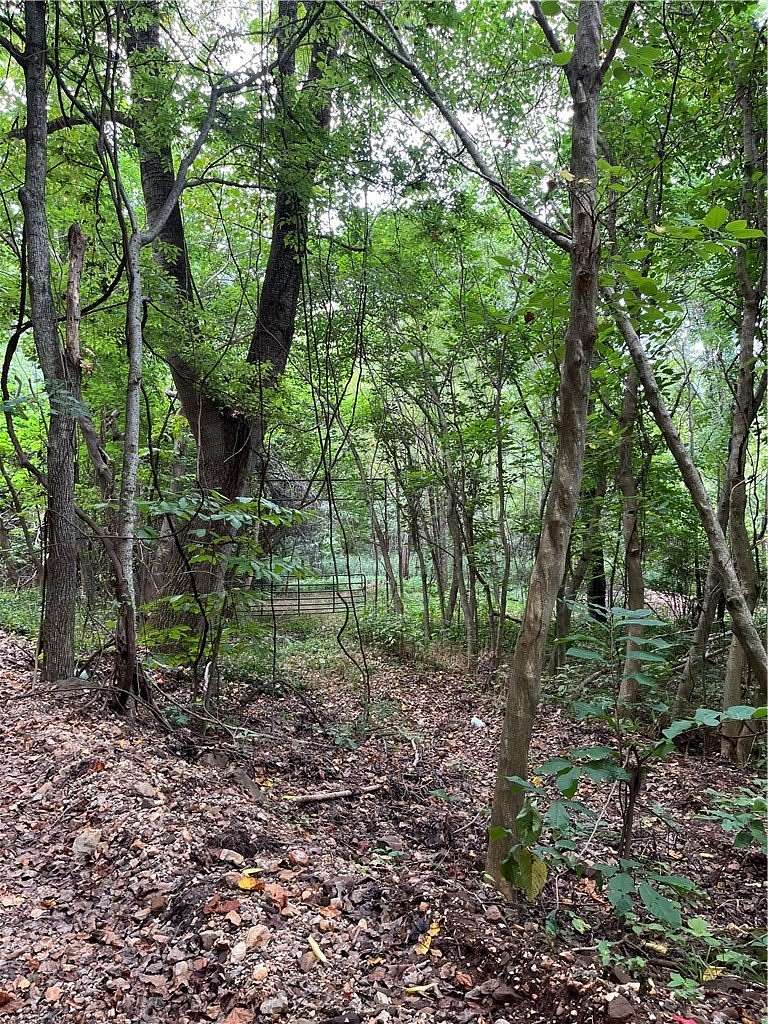 6.5 Acres of Residential Land for Sale in Parthenon, Arkansas