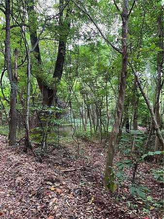 6.5 Acres of Residential Land for Sale in Parthenon, Arkansas