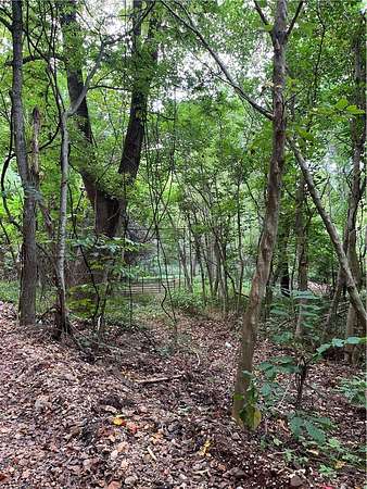 6.5 Acres of Residential Land for Sale in Parthenon, Arkansas