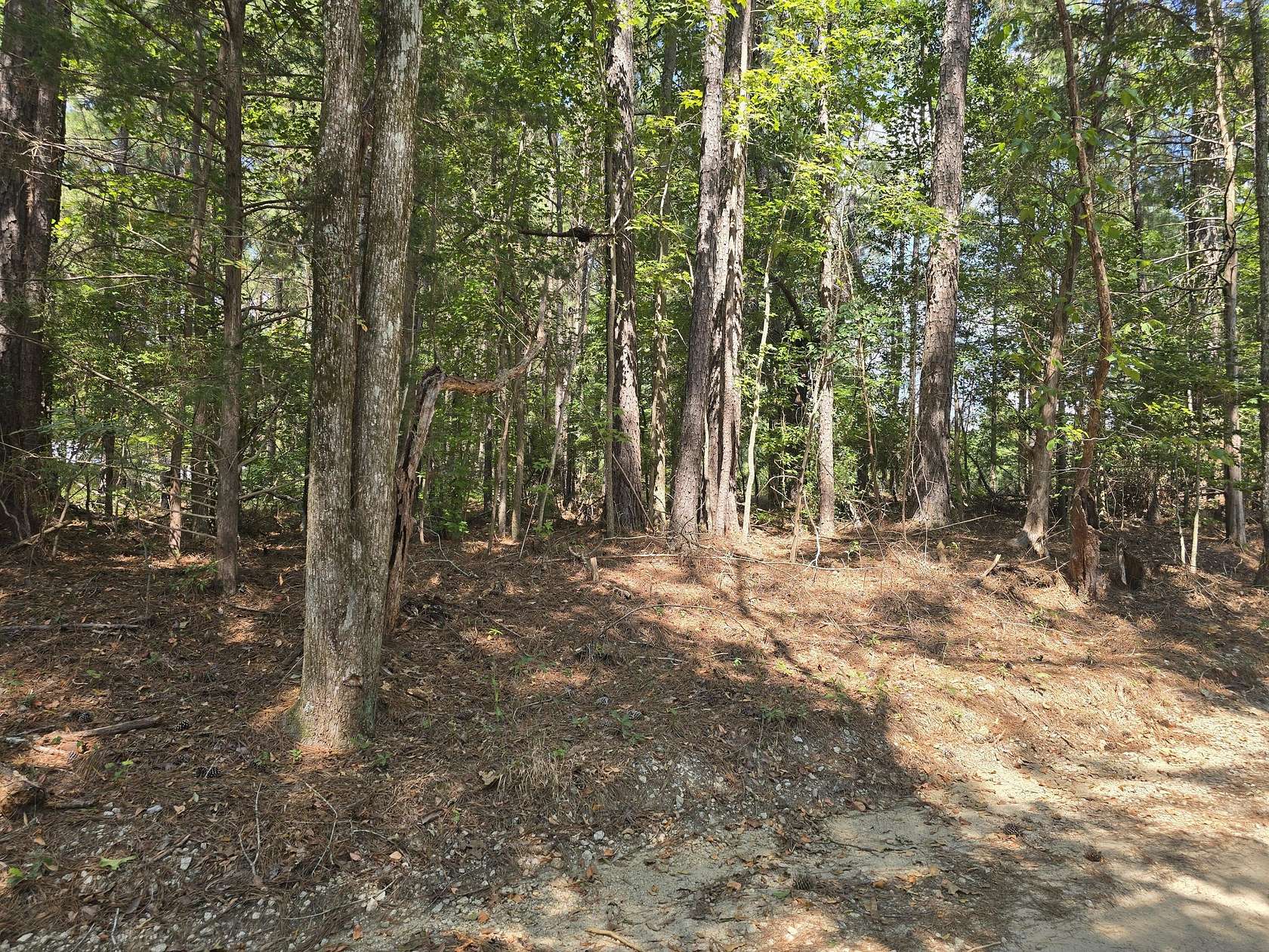 Residential Land for Sale in Grovetown, Georgia