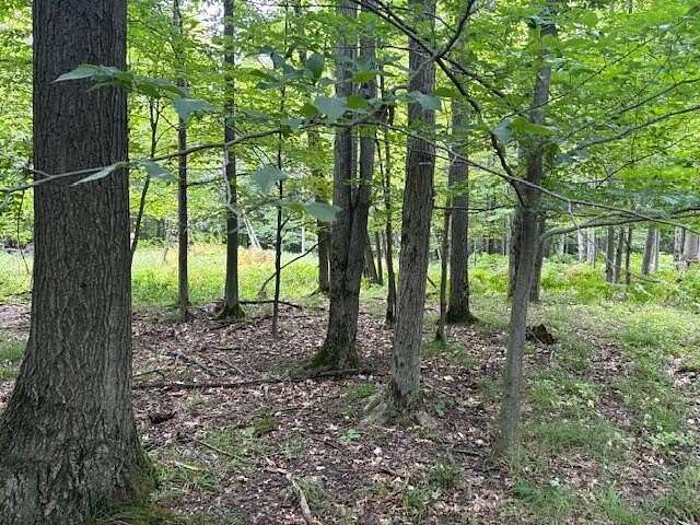 19.5 Acres of Recreational Land for Sale in Brethren, Michigan