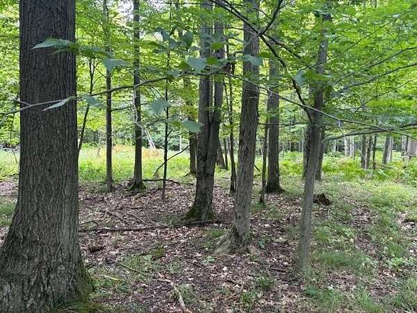19.5 Acres of Recreational Land for Sale in Brethren, Michigan