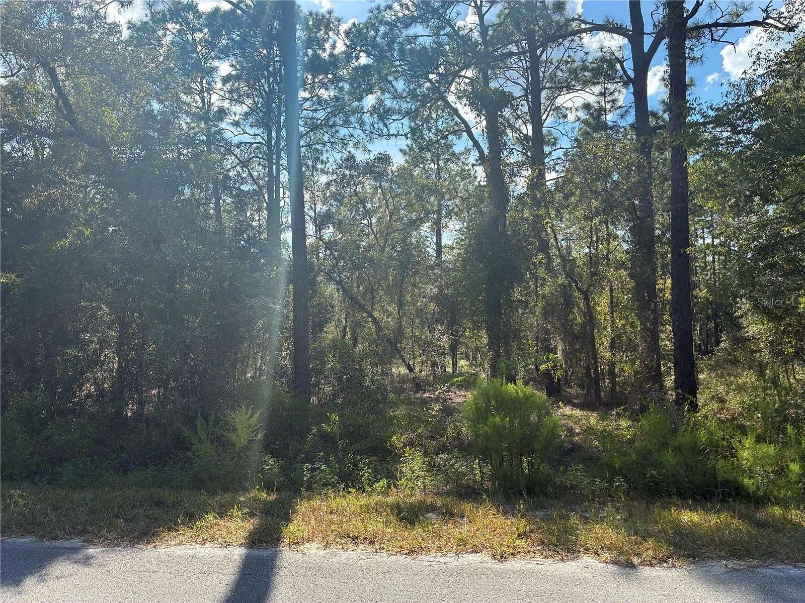 0.23 Acres of Residential Land for Sale in Dunnellon, Florida