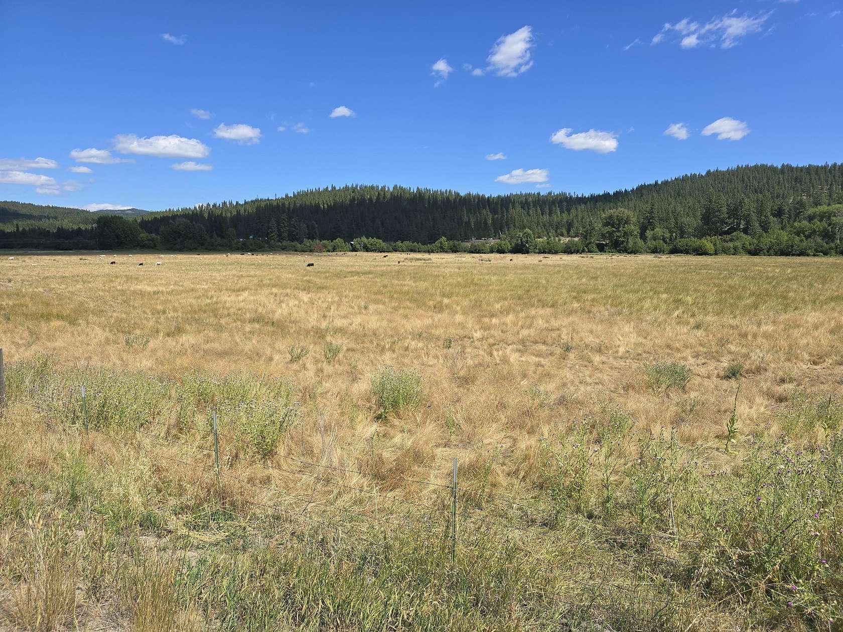 21.2 Acres of Agricultural Land for Sale in Colville, Washington