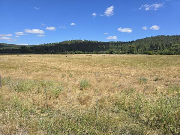 21.2 Acres of Agricultural Land for Sale in Colville, Washington