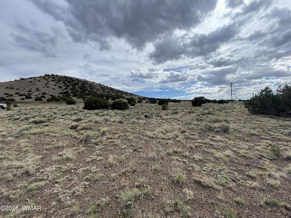 0.23 Acres of Residential Land for Sale in Concho, Arizona
