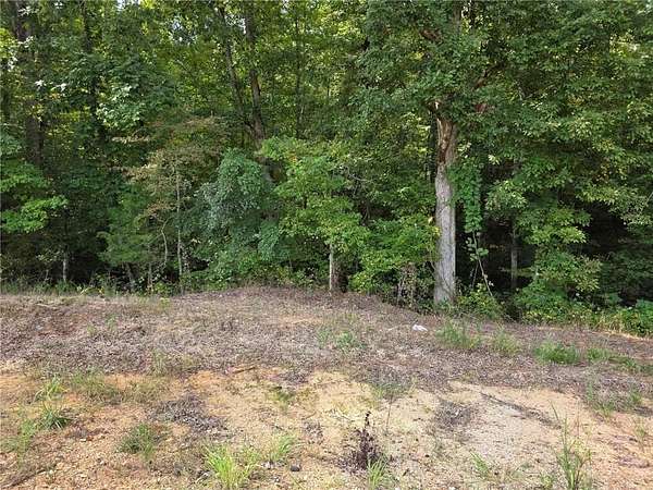 3.26 Acres of Residential Land for Sale in Salem, Alabama