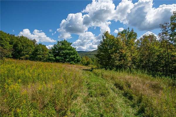 5.3 Acres of Residential Land for Sale in Andes, New York