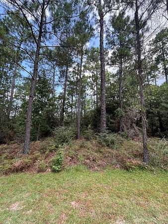 0.23 Acres of Residential Land for Sale in Brookeland, Texas