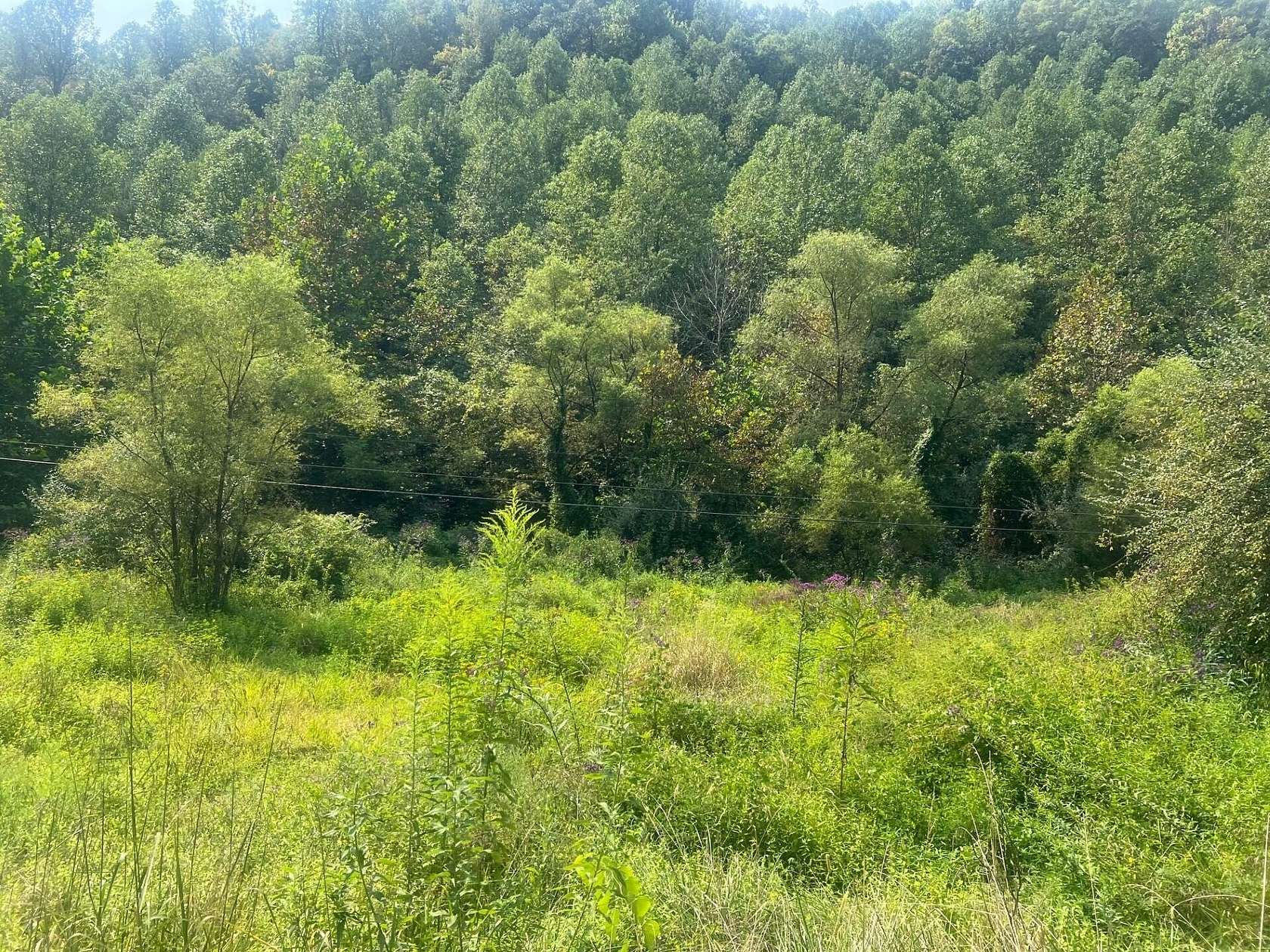 15 Acres of Land for Sale in Prestonsburg, Kentucky