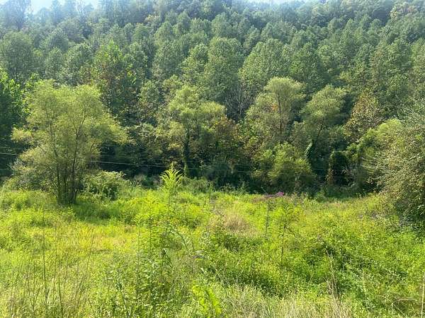 15 Acres of Land for Sale in Prestonsburg, Kentucky