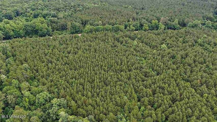 488 Acres of Recreational & Residential Land for Sale in Mize, Mississippi