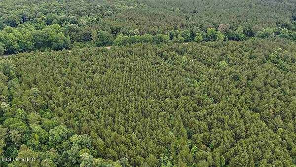 488 Acres of Recreational & Residential Land for Sale in Mize, Mississippi