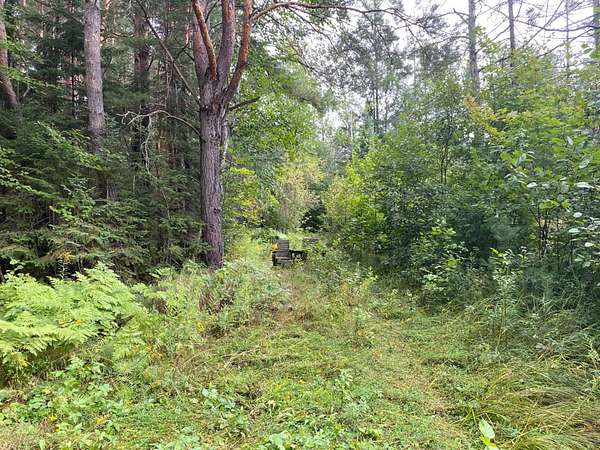 40 Acres of Recreational Land for Sale in Three Lakes, Wisconsin