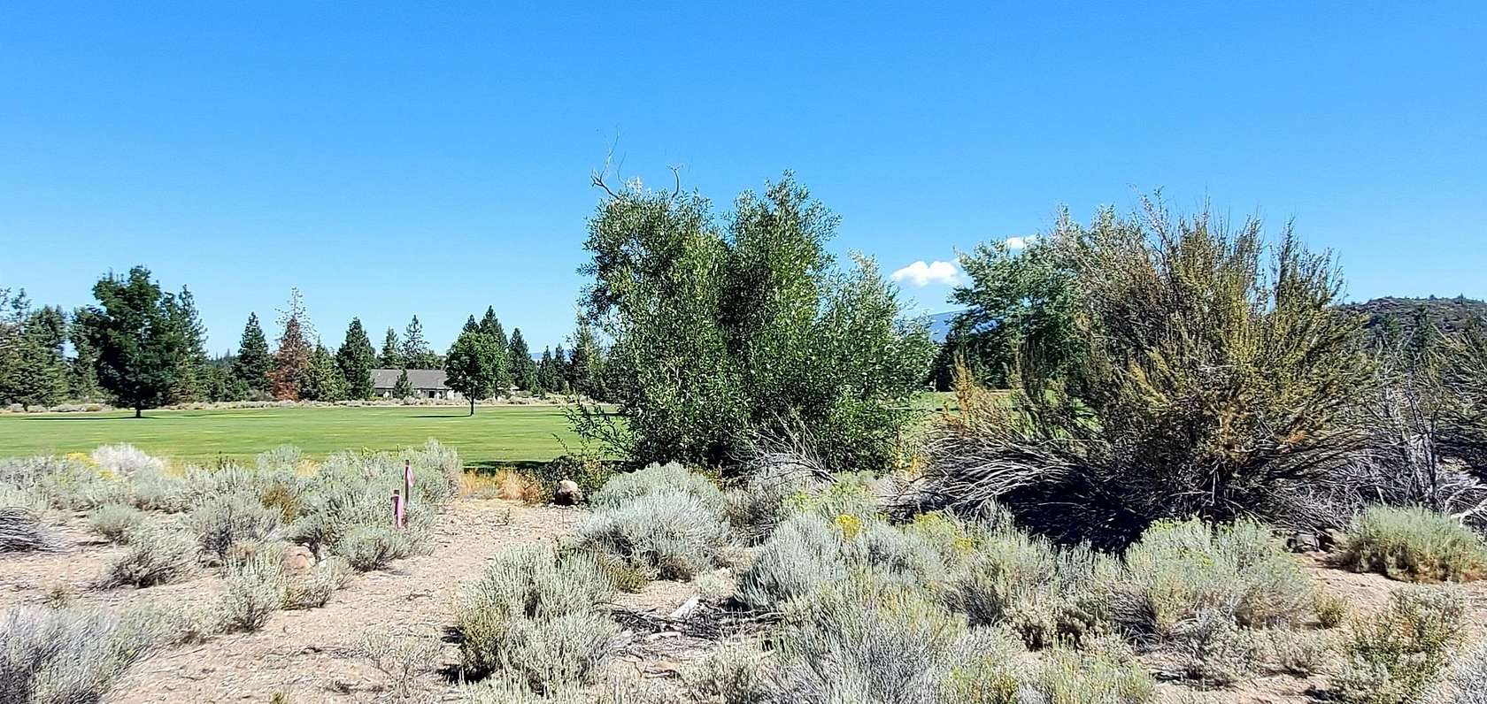 0.25 Acres of Residential Land for Sale in Weed, California