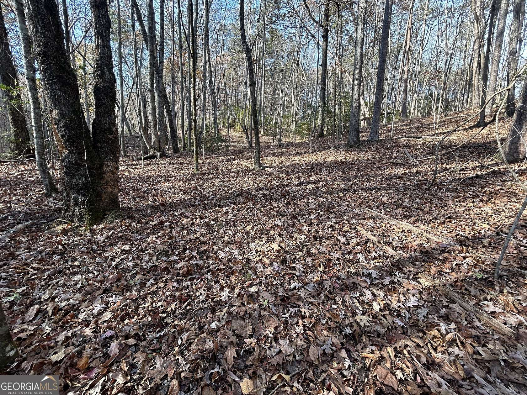 7.26 Acres of Residential Land for Sale in Cleveland, Georgia