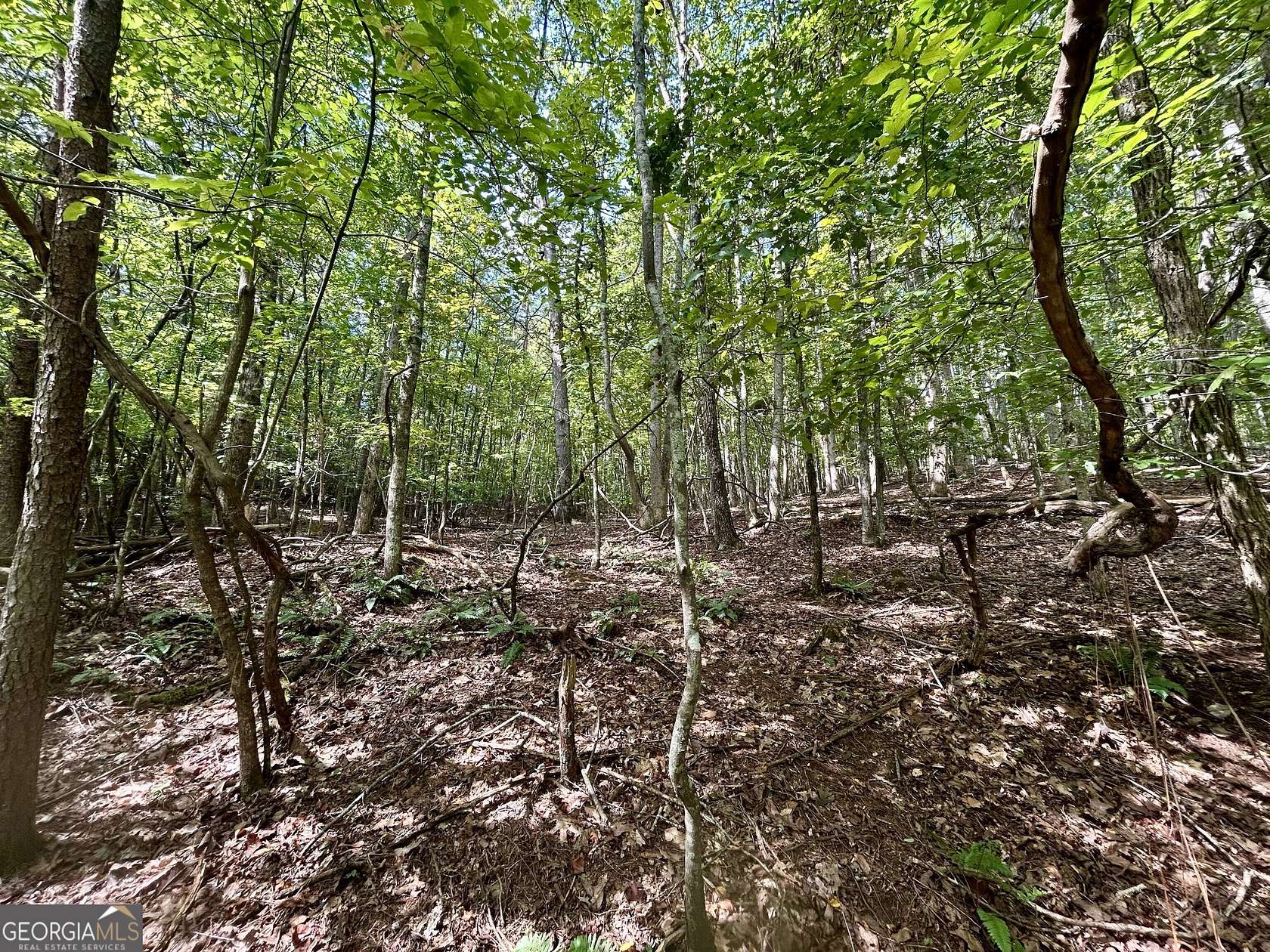 7.26 Acres of Residential Land for Sale in Cleveland, Georgia