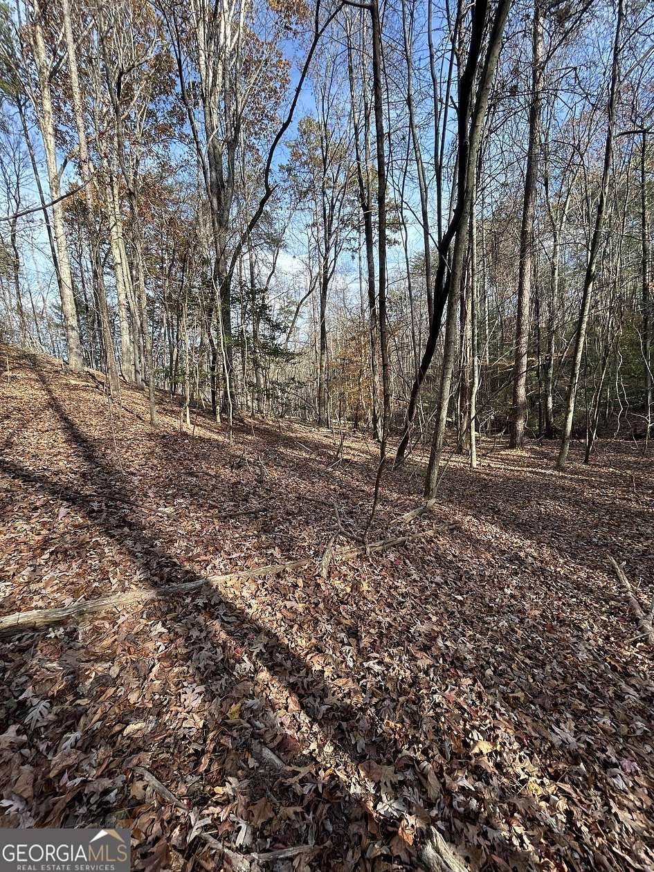 7.26 Acres of Residential Land for Sale in Cleveland, Georgia