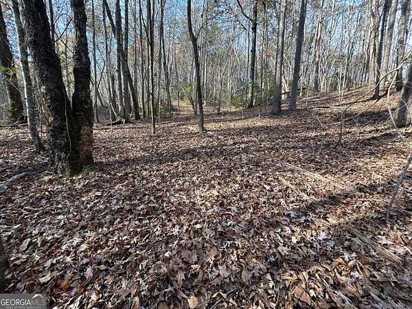 7.26 Acres of Residential Land for Sale in Cleveland, Georgia