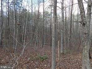 50 Acres of Agricultural Land for Sale in Orange, Virginia