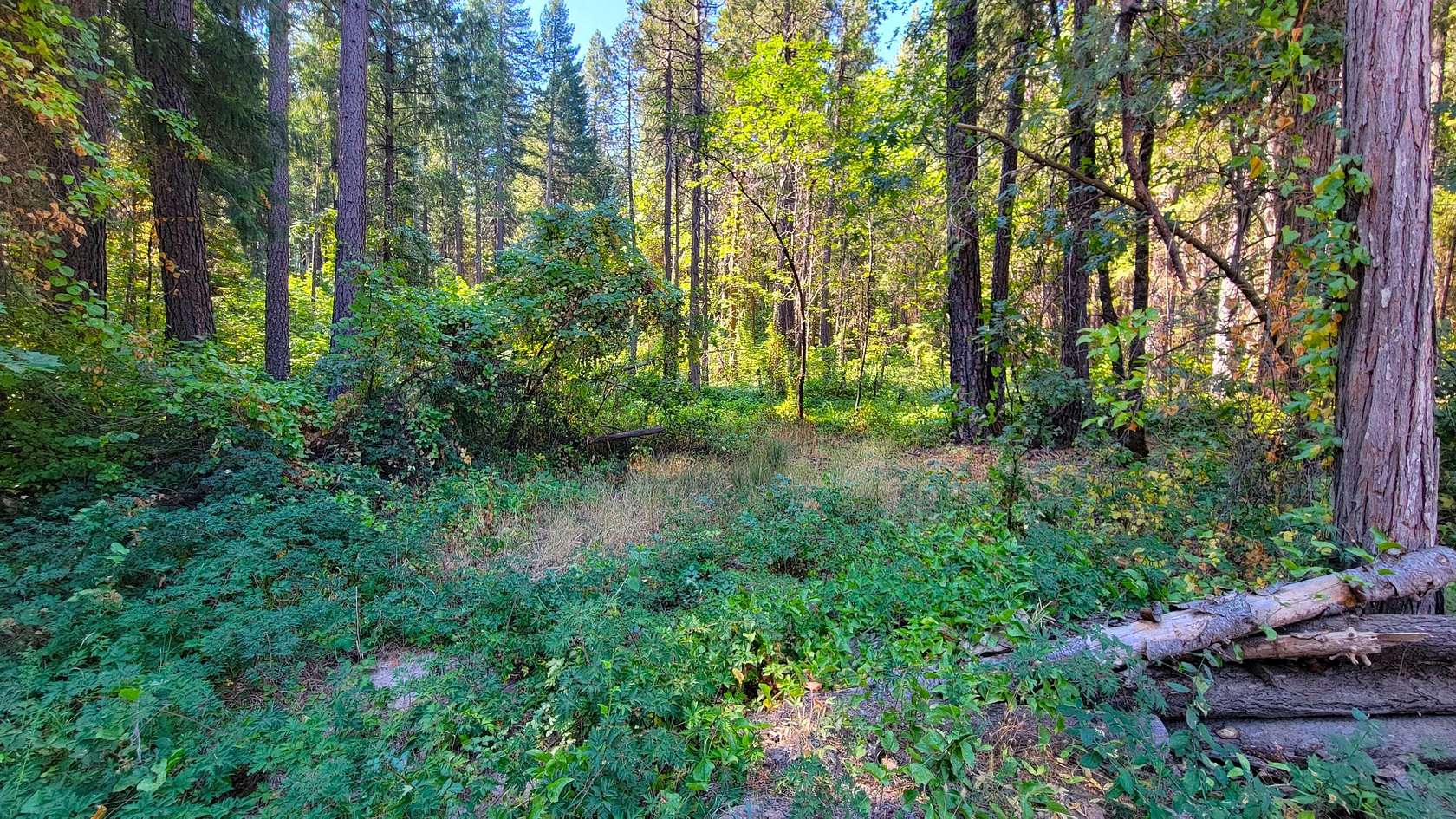 2 Acres of Residential Land for Sale in Oak Run, California