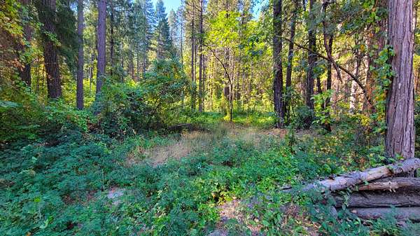 2 Acres of Residential Land for Sale in Oak Run, California