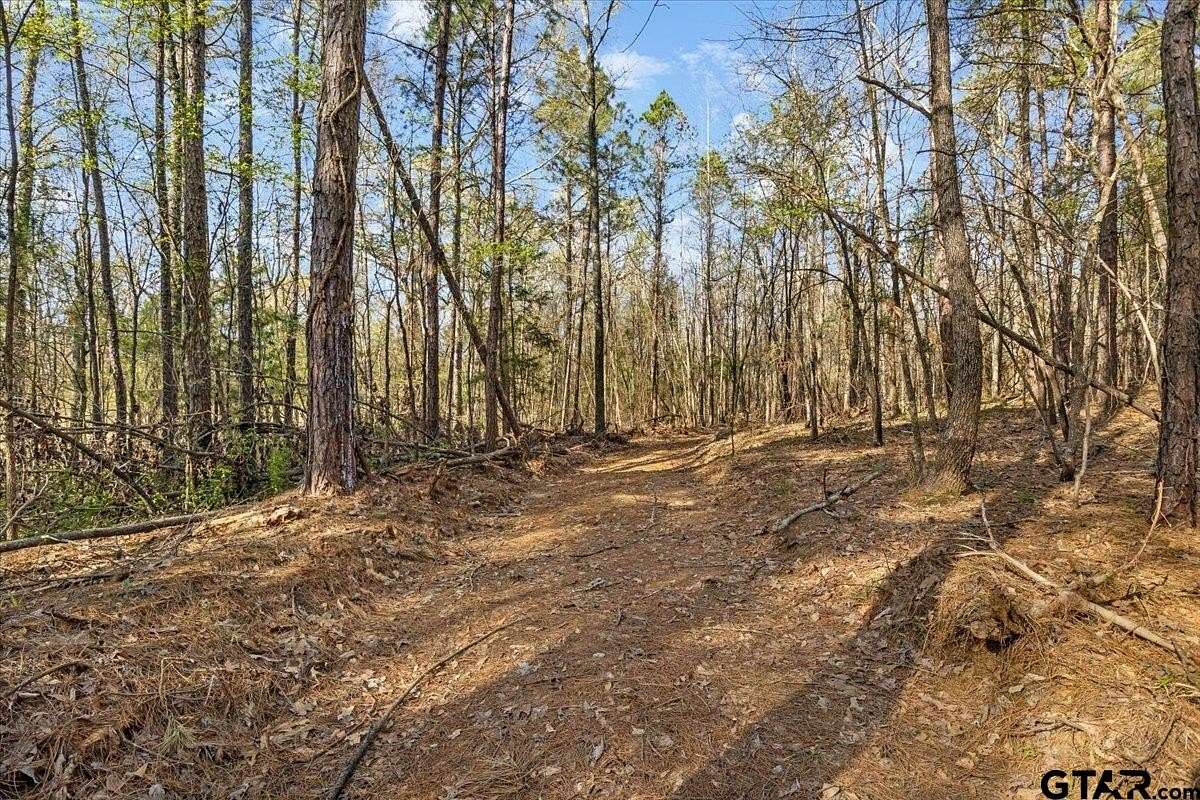 0.9 Acres of Residential Land for Sale in Tyler, Texas