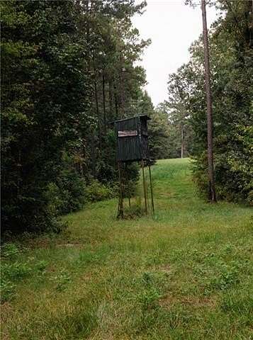 15 Acres of Recreational Land for Sale in Elmer, Louisiana