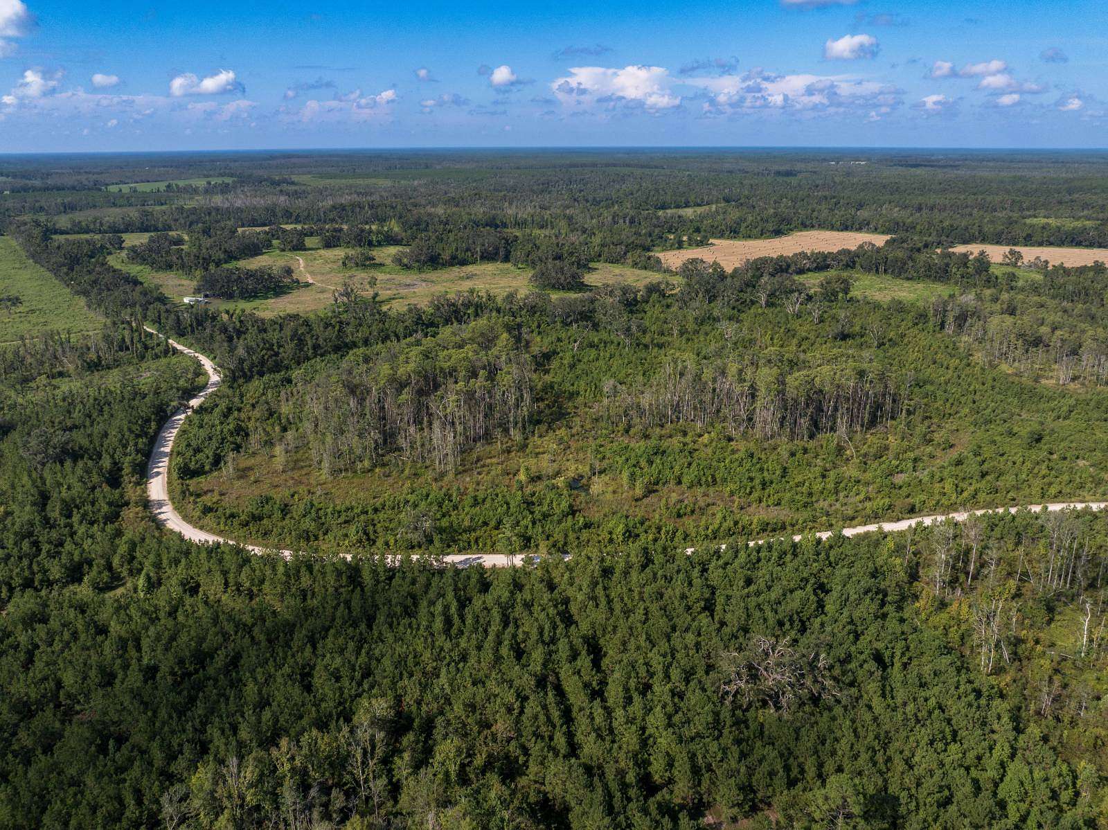 440 Acres of Land for Sale in Greenville, Florida