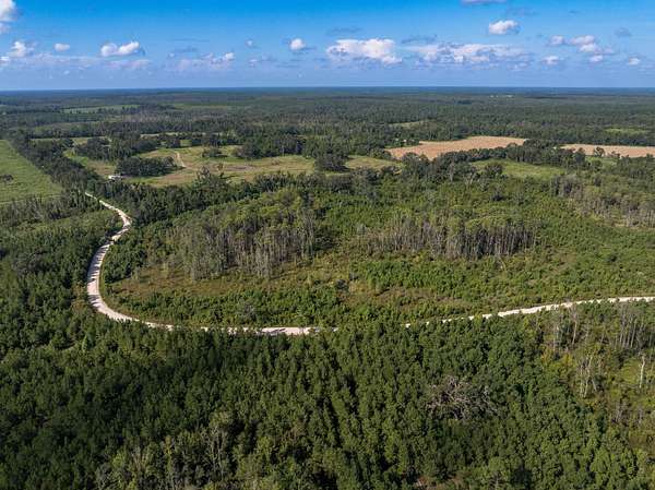 440 Acres of Land for Sale in Greenville, Florida