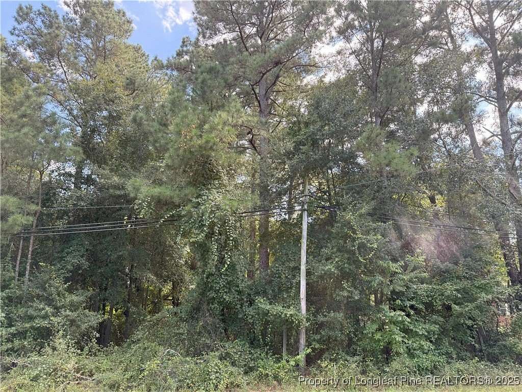 0.6 Acres of Land for Sale in Autryville, North Carolina