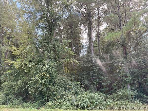 0.6 Acres of Land for Sale in Autryville, North Carolina