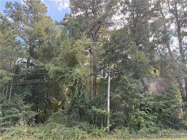 1.42 Acres of Land for Sale in Autryville, North Carolina