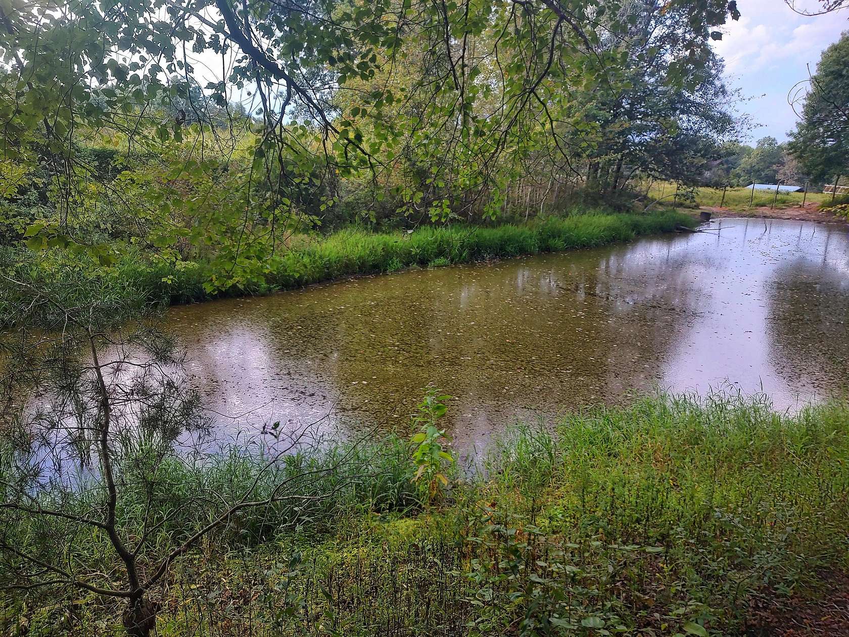 11.3 Acres of Land for Sale in Pikeville, Tennessee