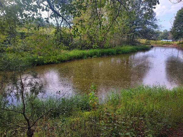 11.3 Acres of Land for Sale in Pikeville, Tennessee