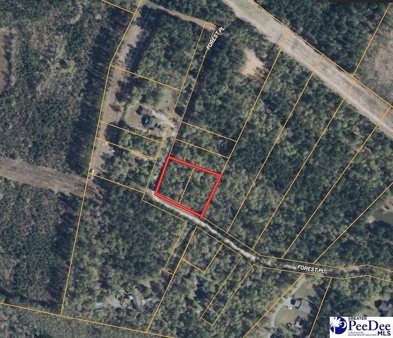 1.1 Acres of Residential Land for Sale in Marion, South Carolina